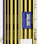 Set of 10 Pencils - Braille - Estike 120S1BK10D